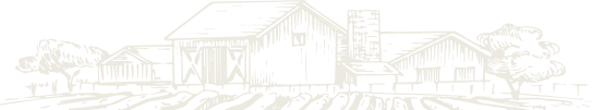 about-one-shape-1 alt