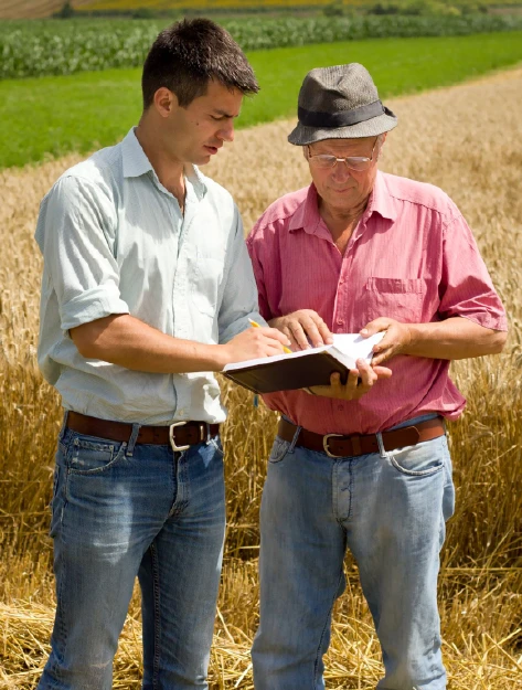 Expert Farm Advisors Agriculture experts discussing crop