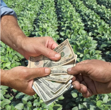 What We’re Doing-01 Cash exchange in field