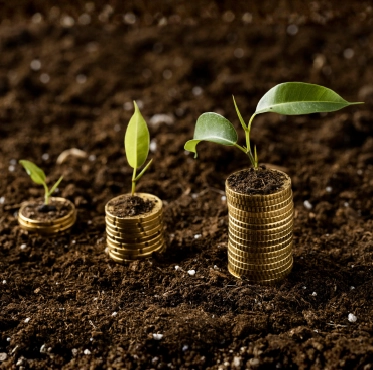 What We’re Doing-03 Growing plants on coins